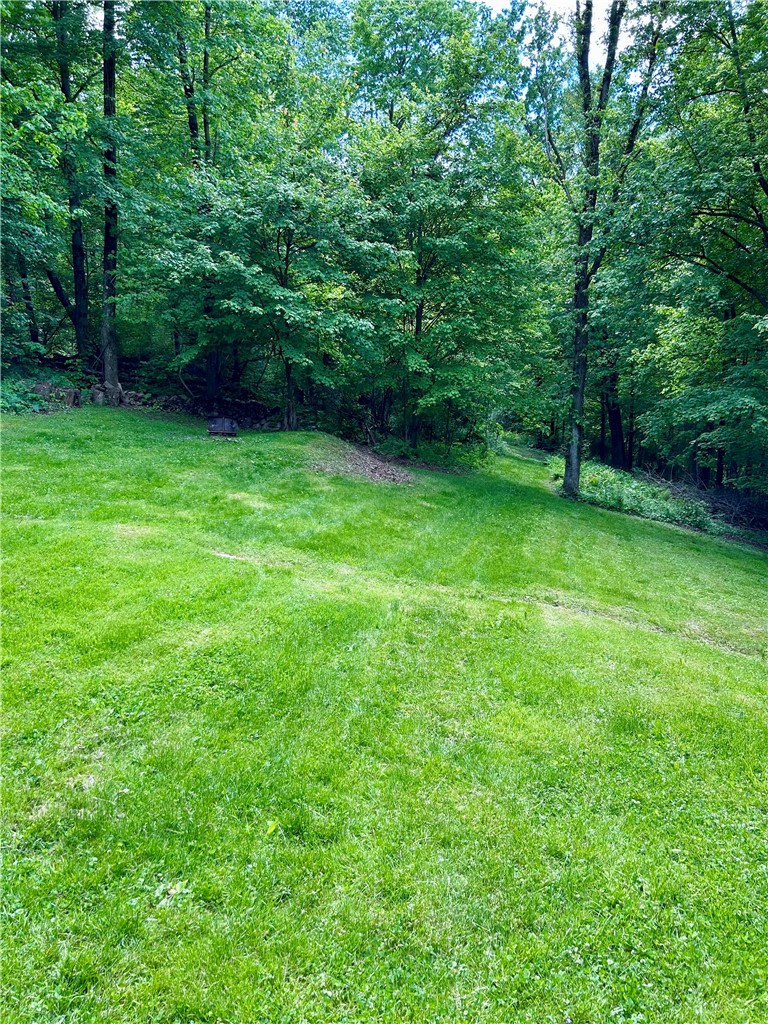 4426 Ellwood Rd