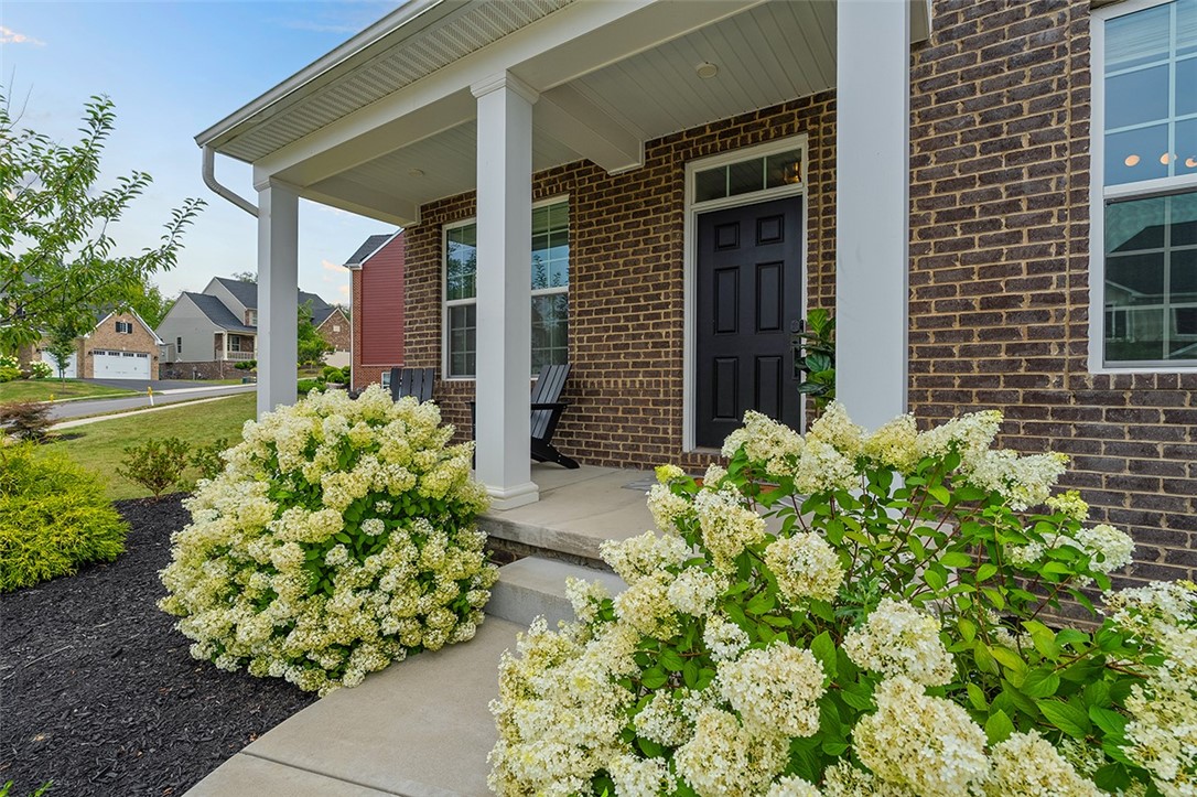 337 Juniper Way