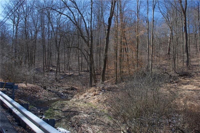0 Audubon Road