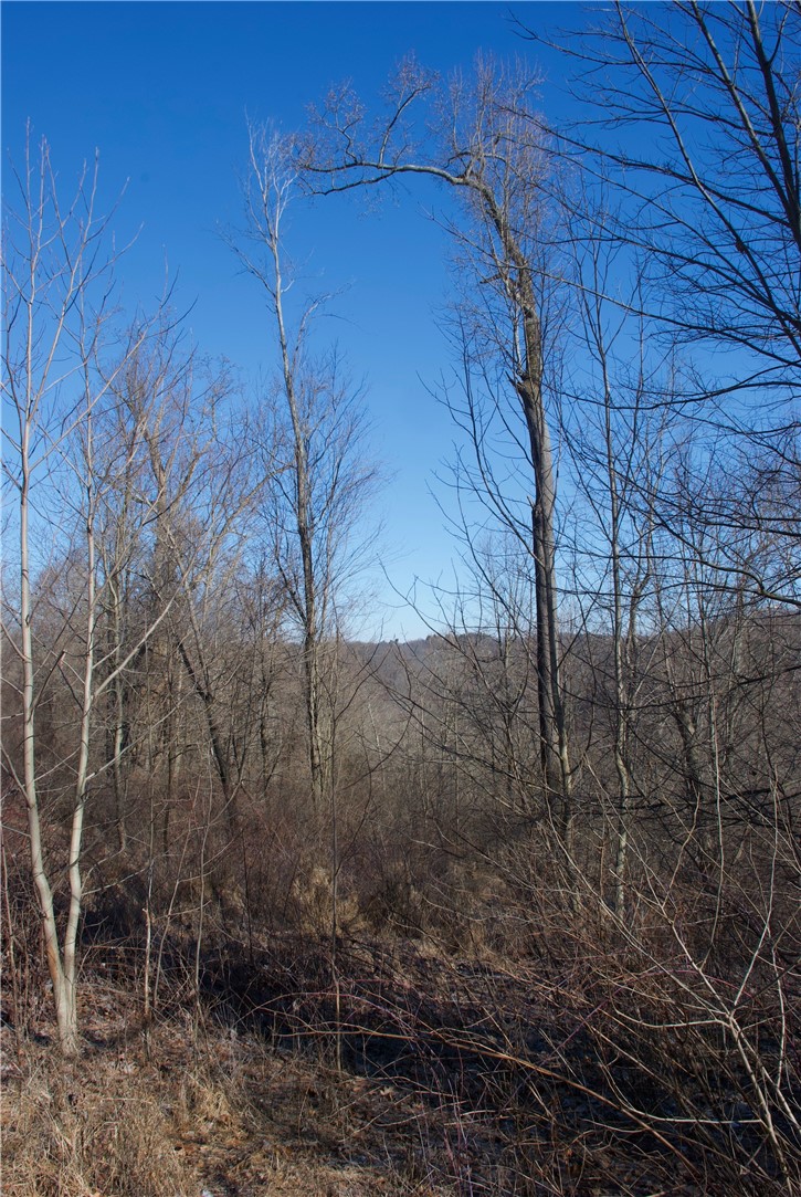 0 Audubon Road