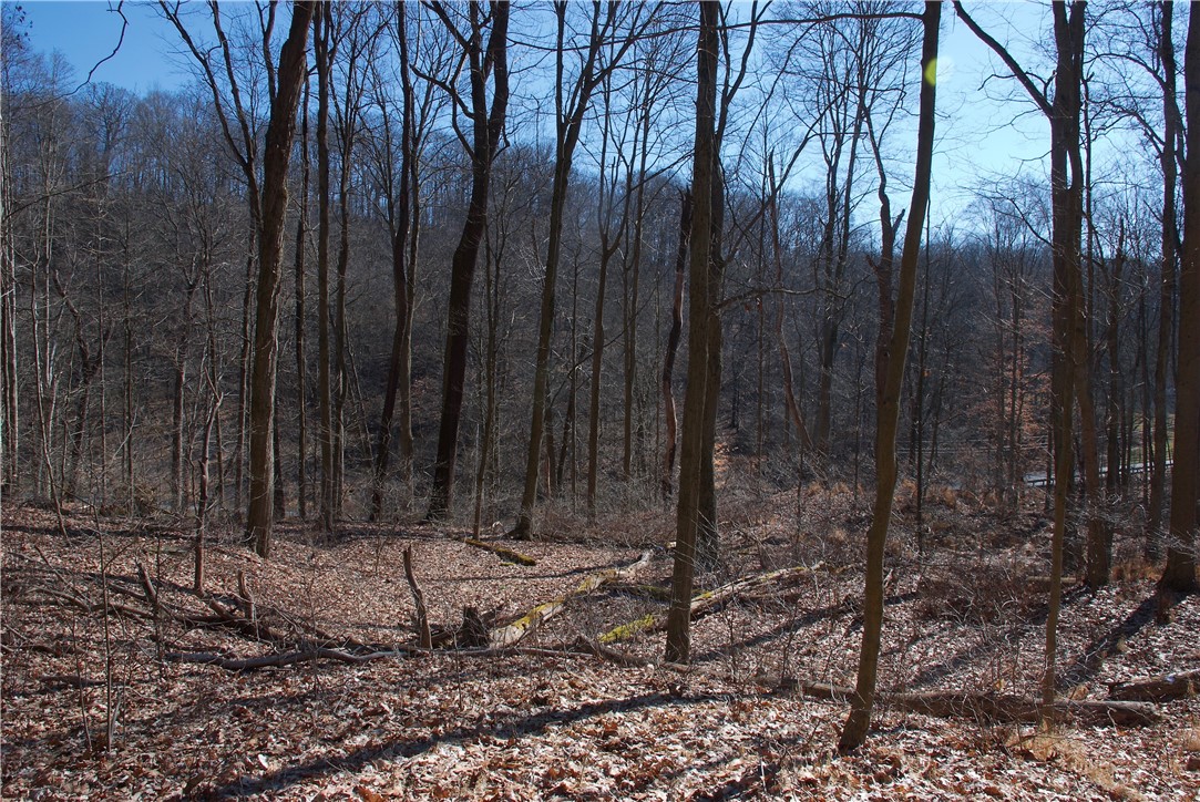 0 Audubon Road
