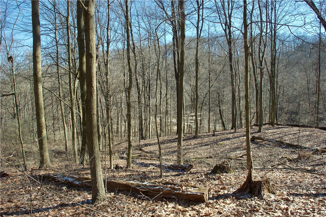 0 Audubon Road