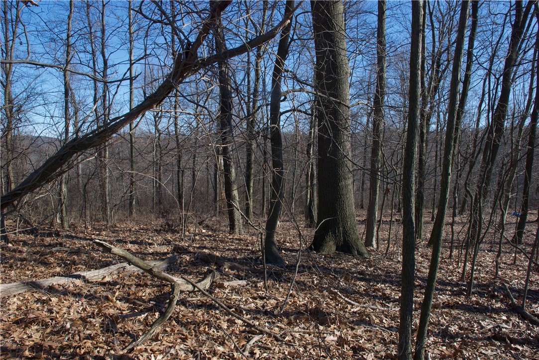 0 Audubon Road