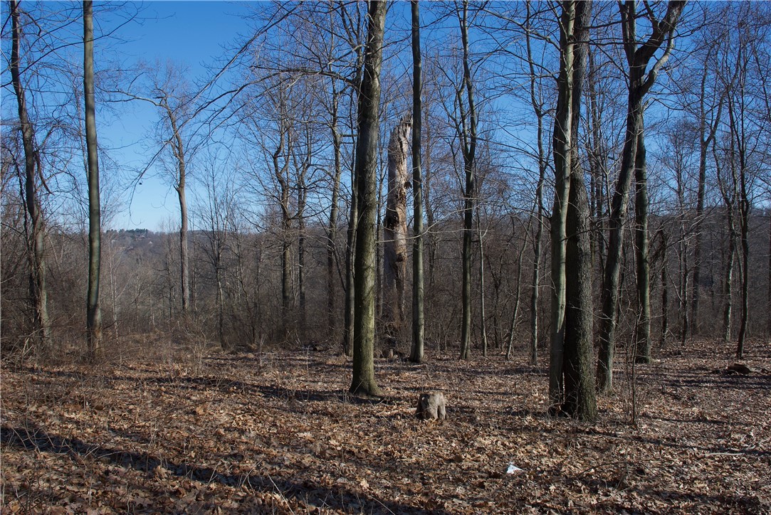 0 Audubon Road
