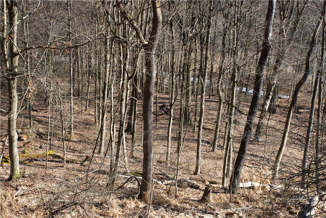 0 Audubon Road
