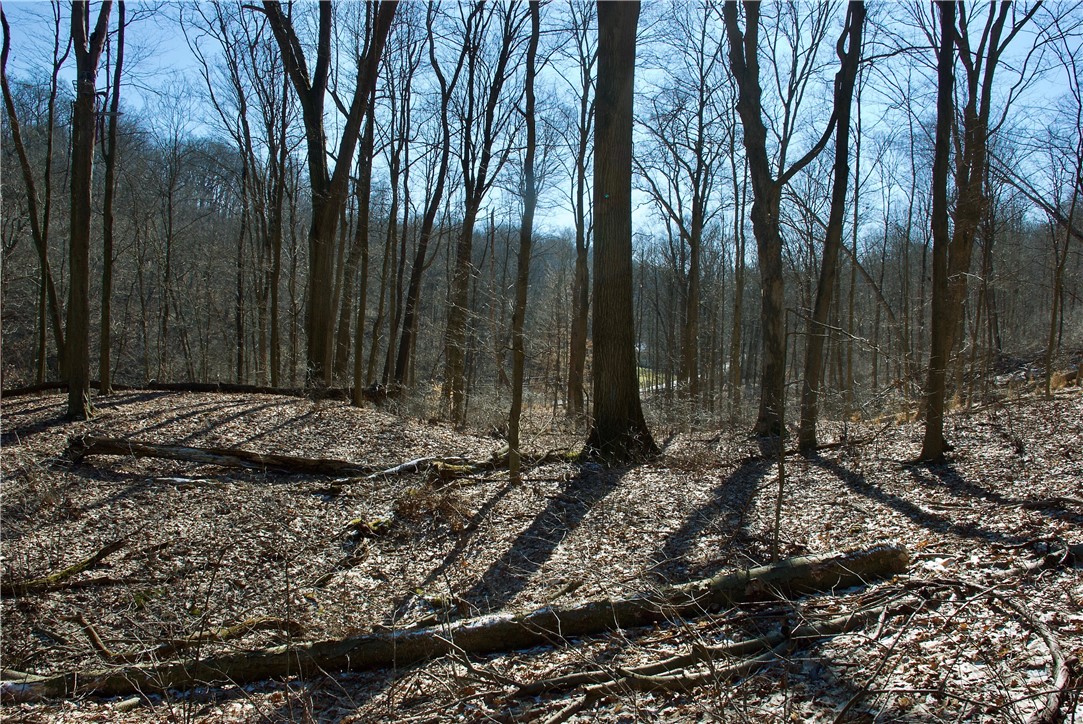 0 Audubon Road
