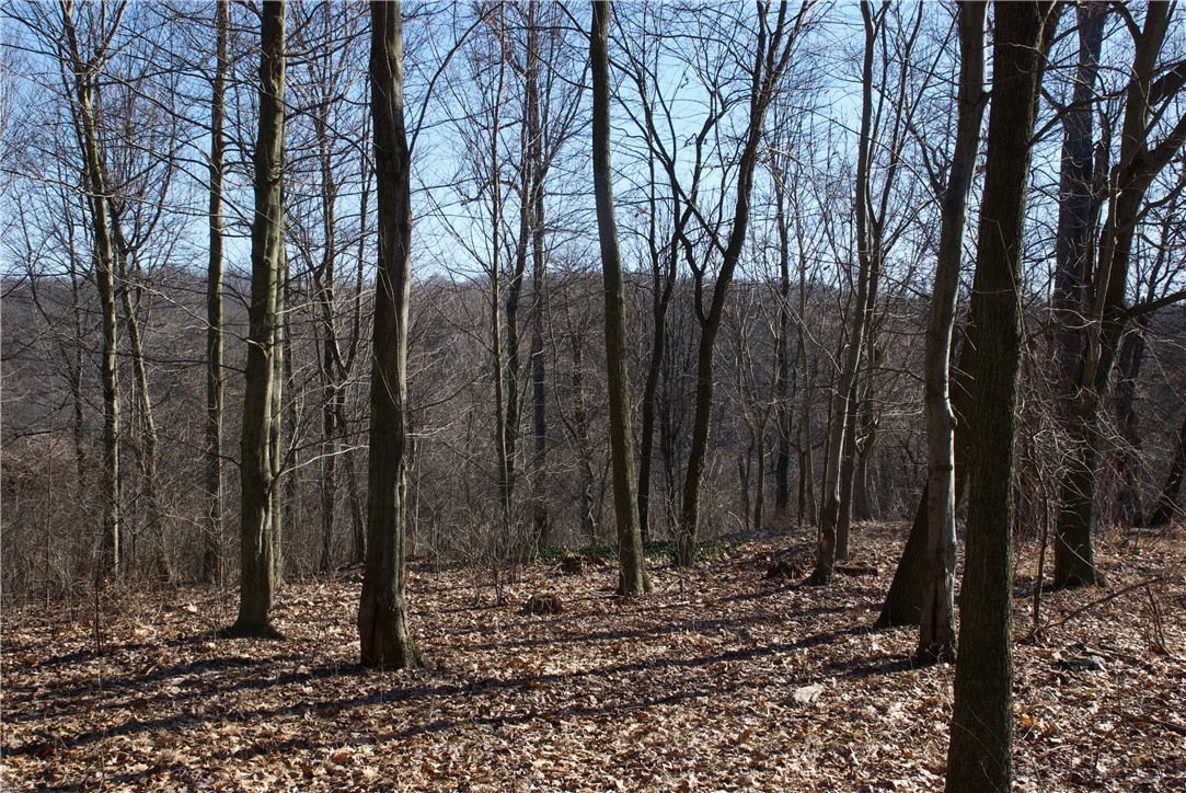 0 Audubon Road