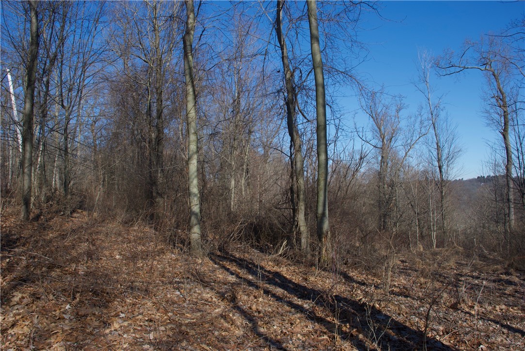 0 Audubon Road