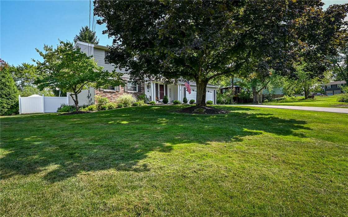 1523 Mountainview Dr