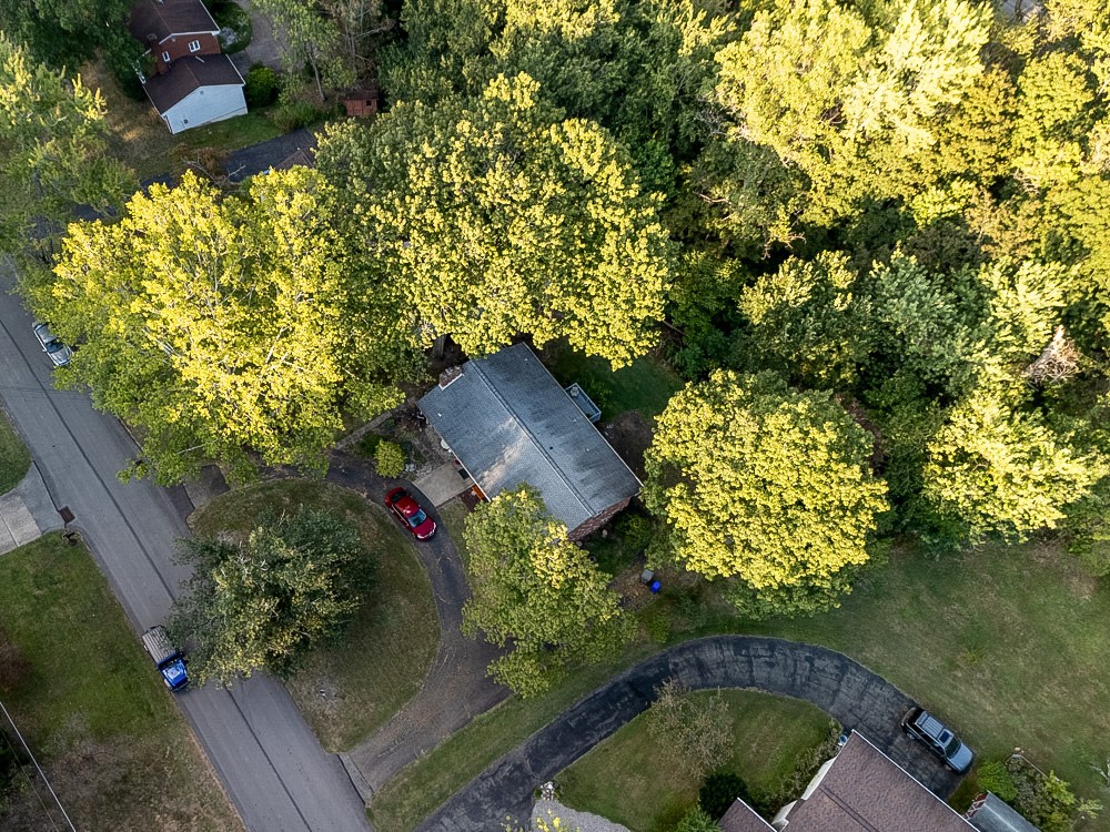 623 Westland Dr