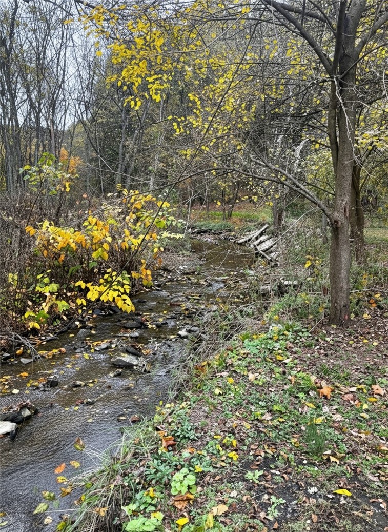915 Thompson Run Rd