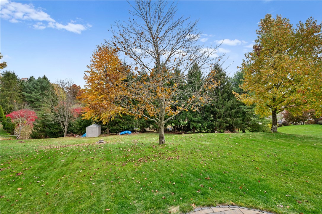 1245 Woodhill Dr