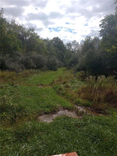 Lot 1 Hope Hollow Rd
