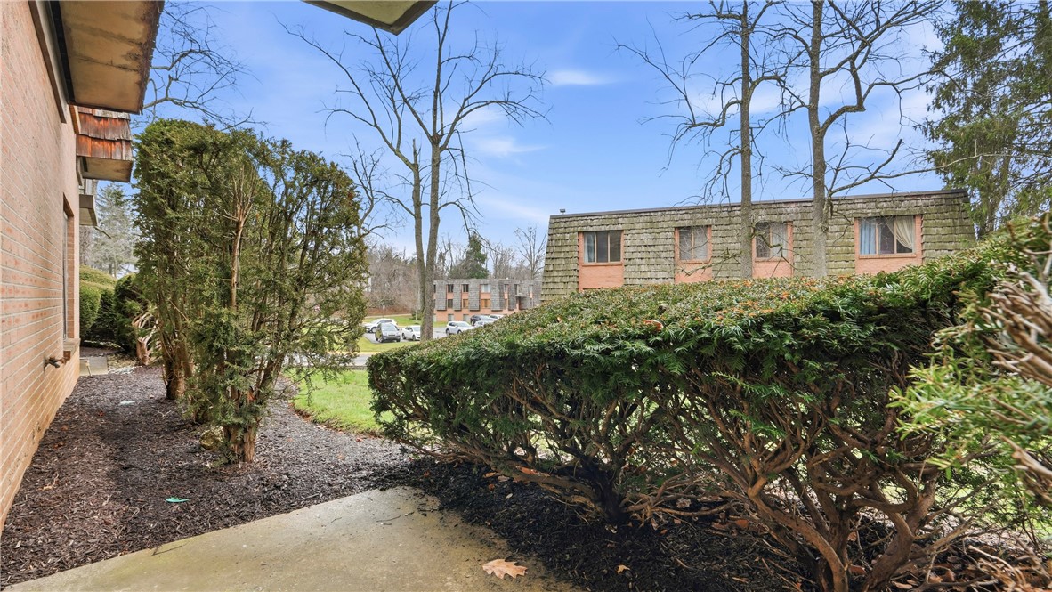 1115 Forest Green Dr