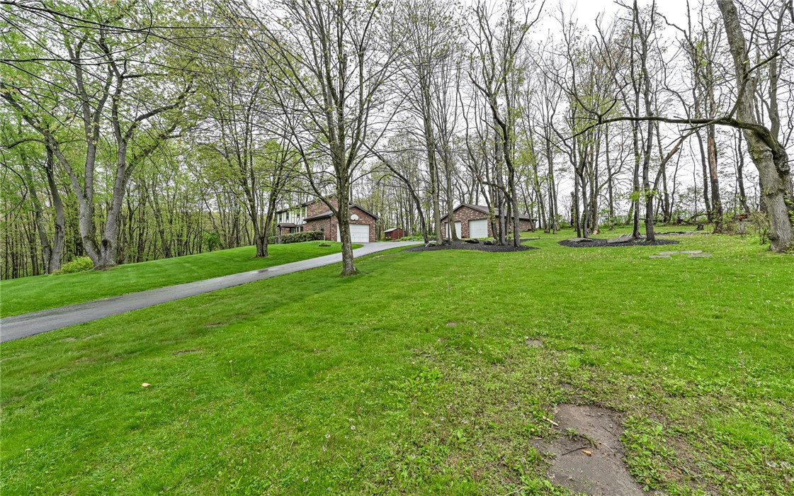 230 Election House Rd
