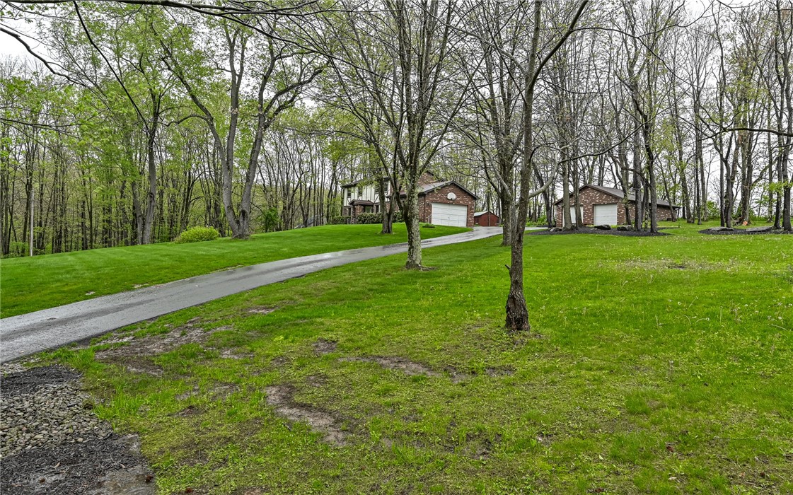 230 Election House Rd