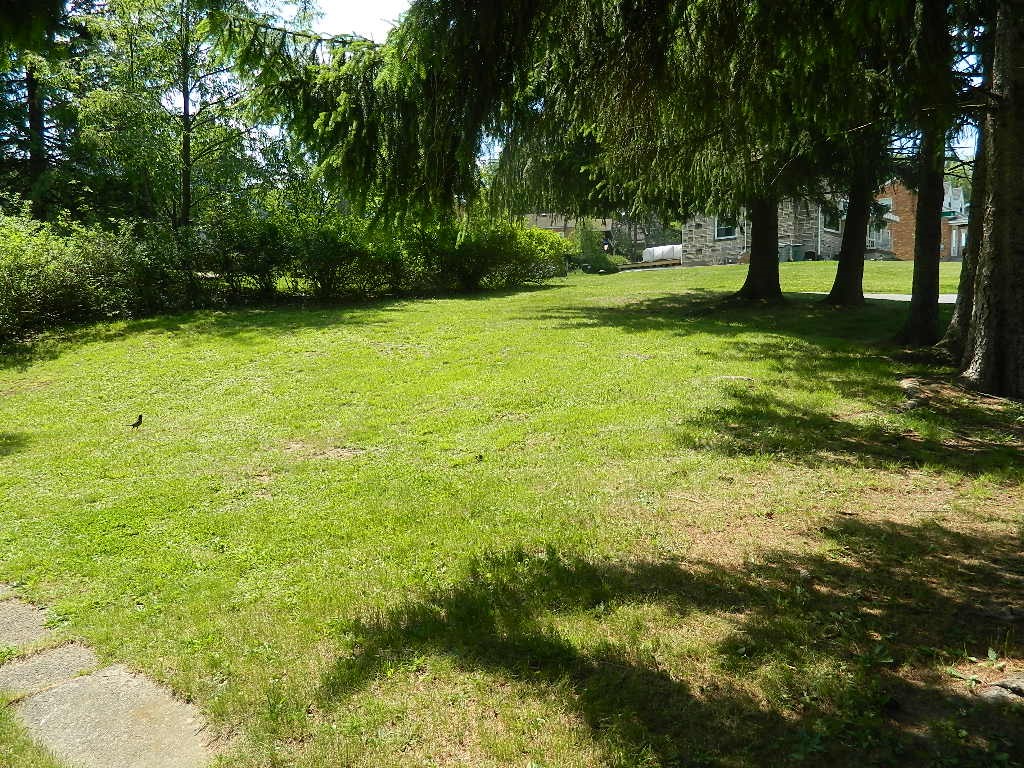 502 Vilsack Rd