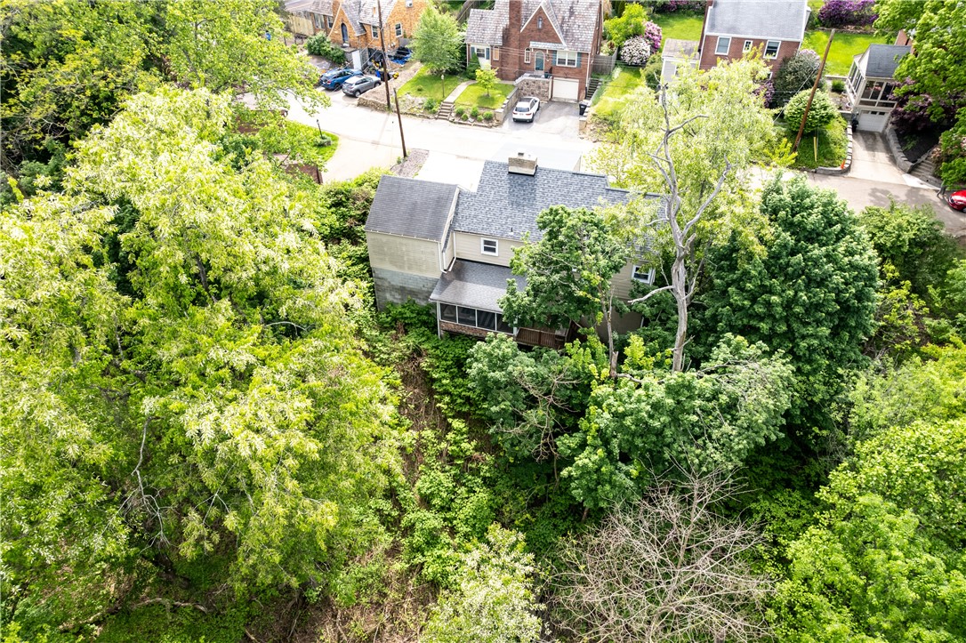 6 Virginia Terrace