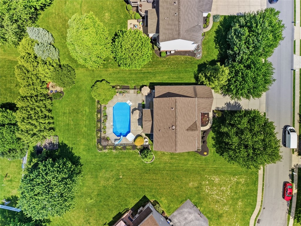 470 Jenny Drive