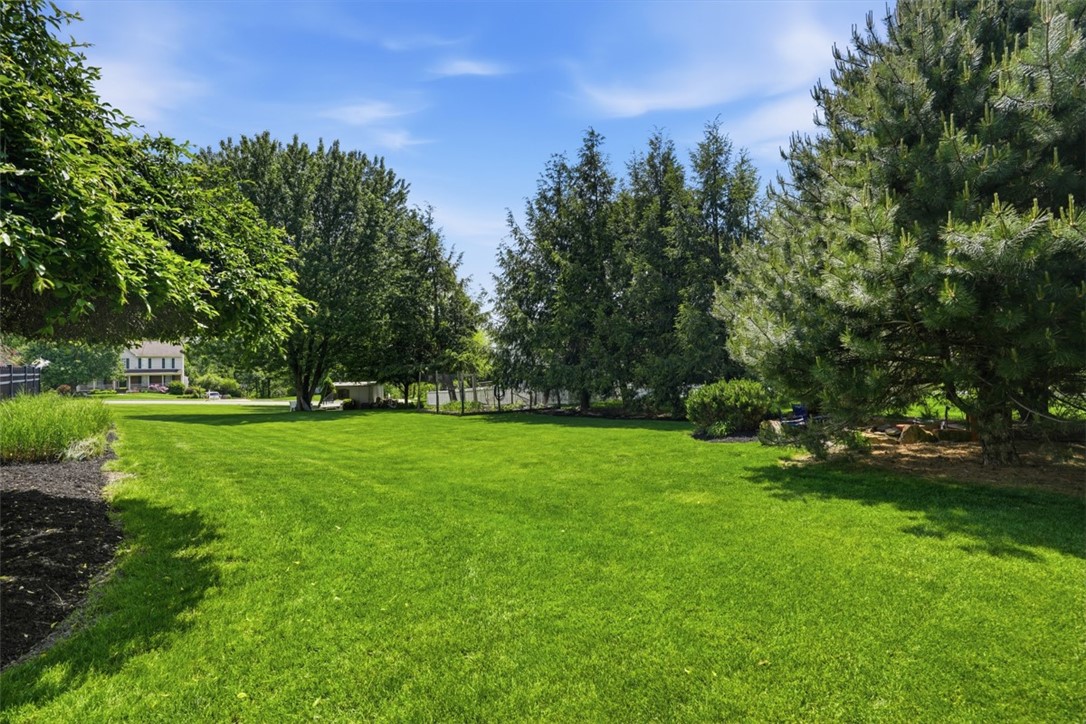 470 Jenny Drive
