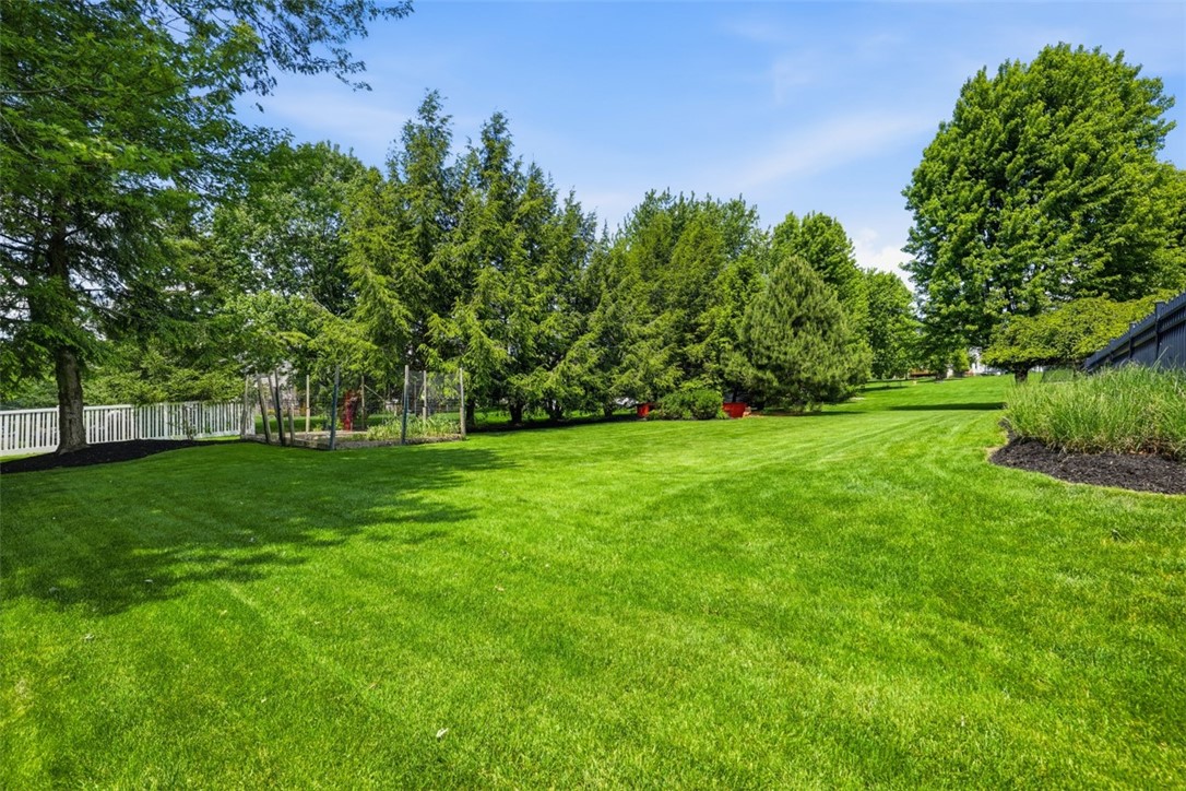 470 Jenny Drive