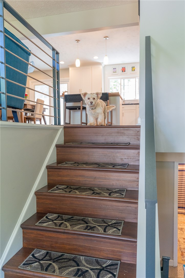 5190 Windy Hill