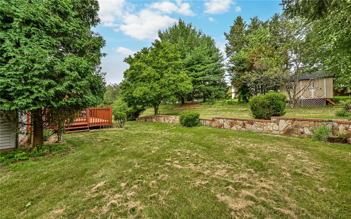217 Meadow Spring Rd