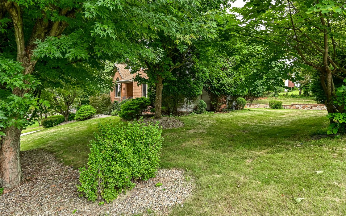 217 Meadow Spring Rd