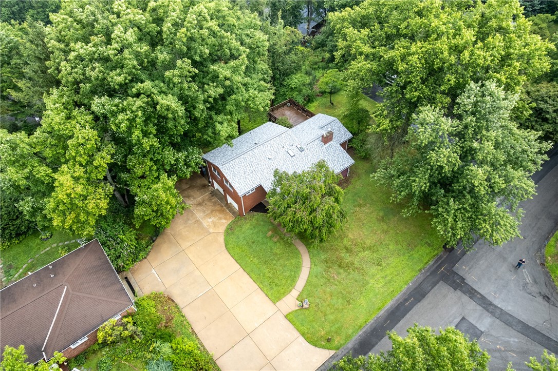 9 Highland
