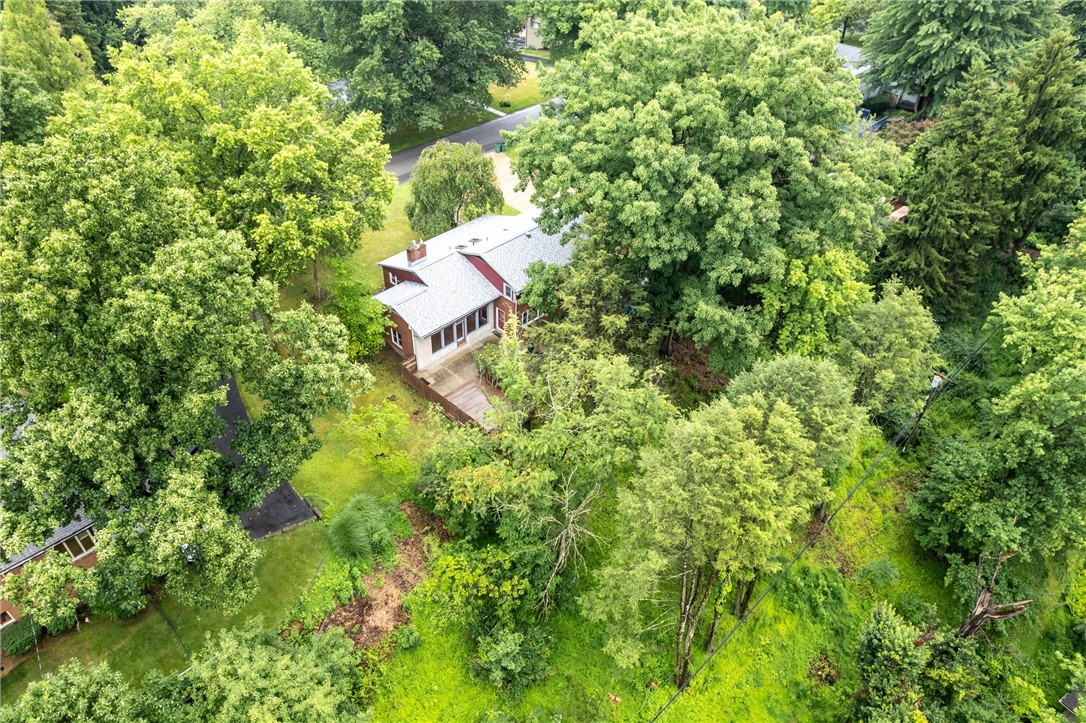9 Highland