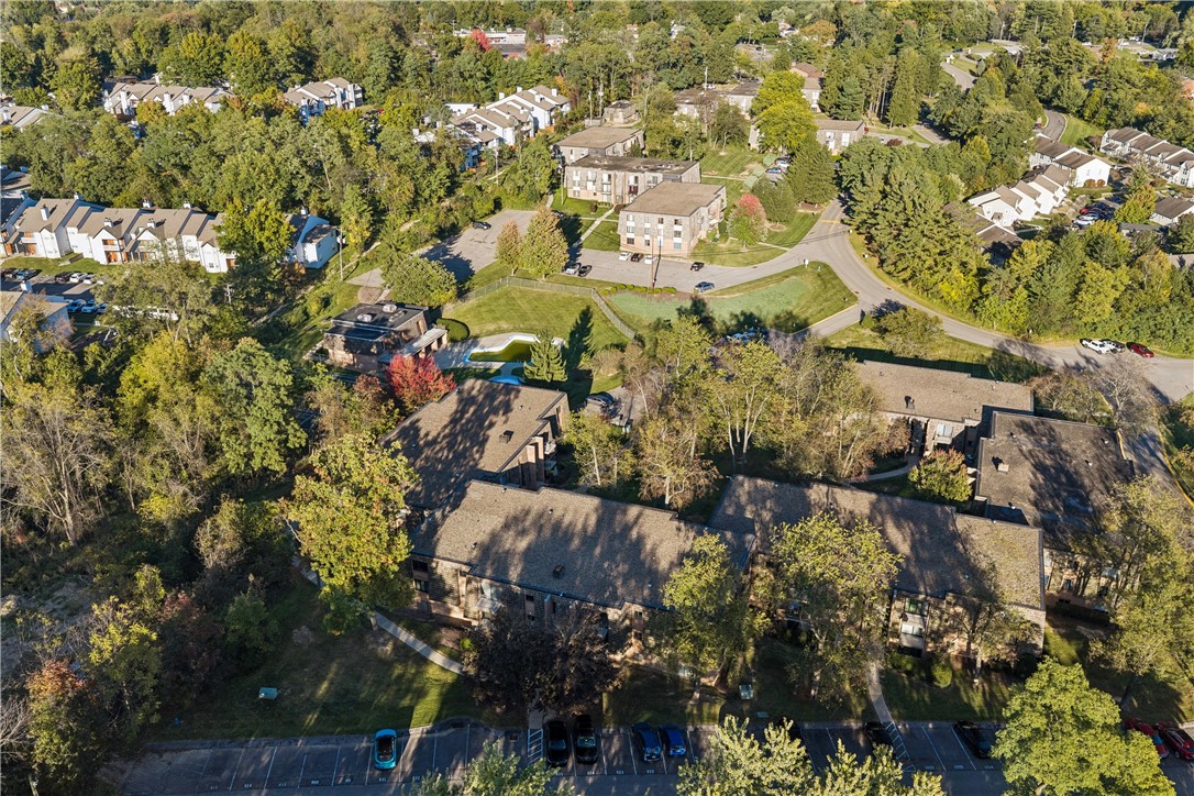 1113 Forest Green Dr