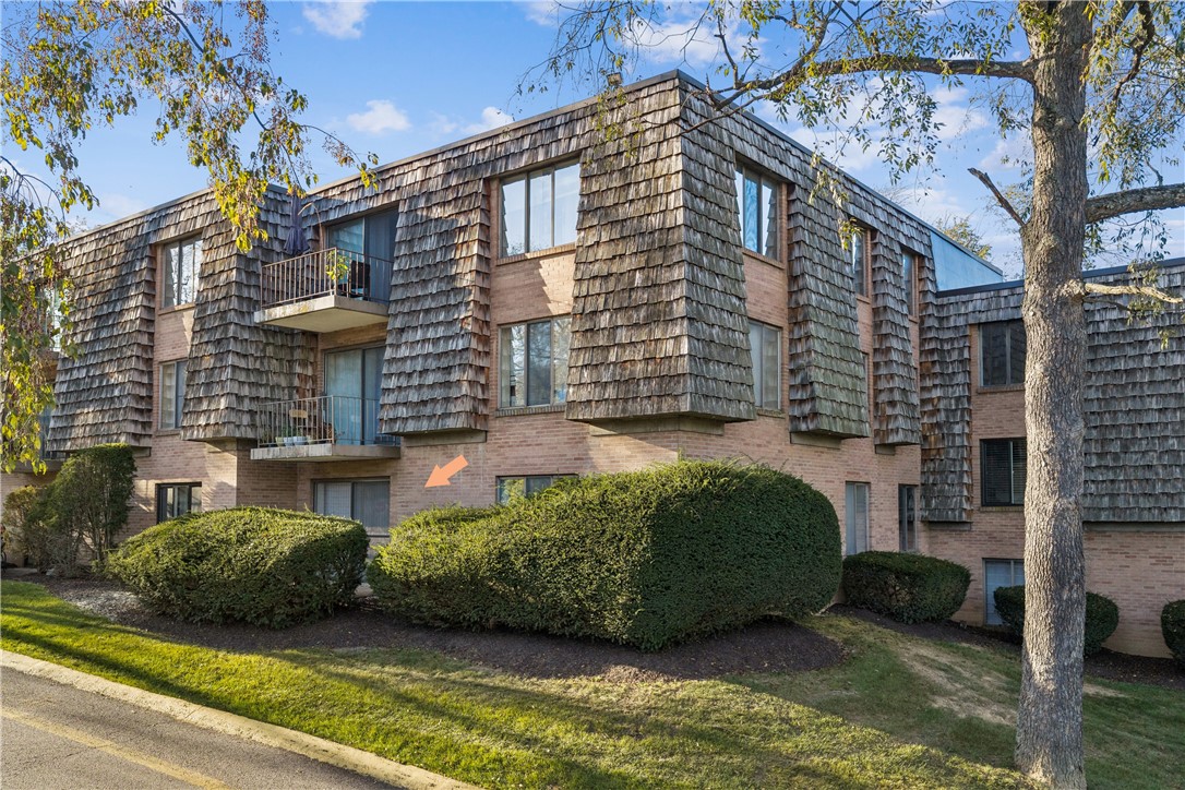 1113 Forest Green Dr