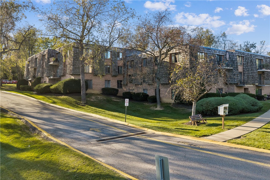 1113 Forest Green Dr