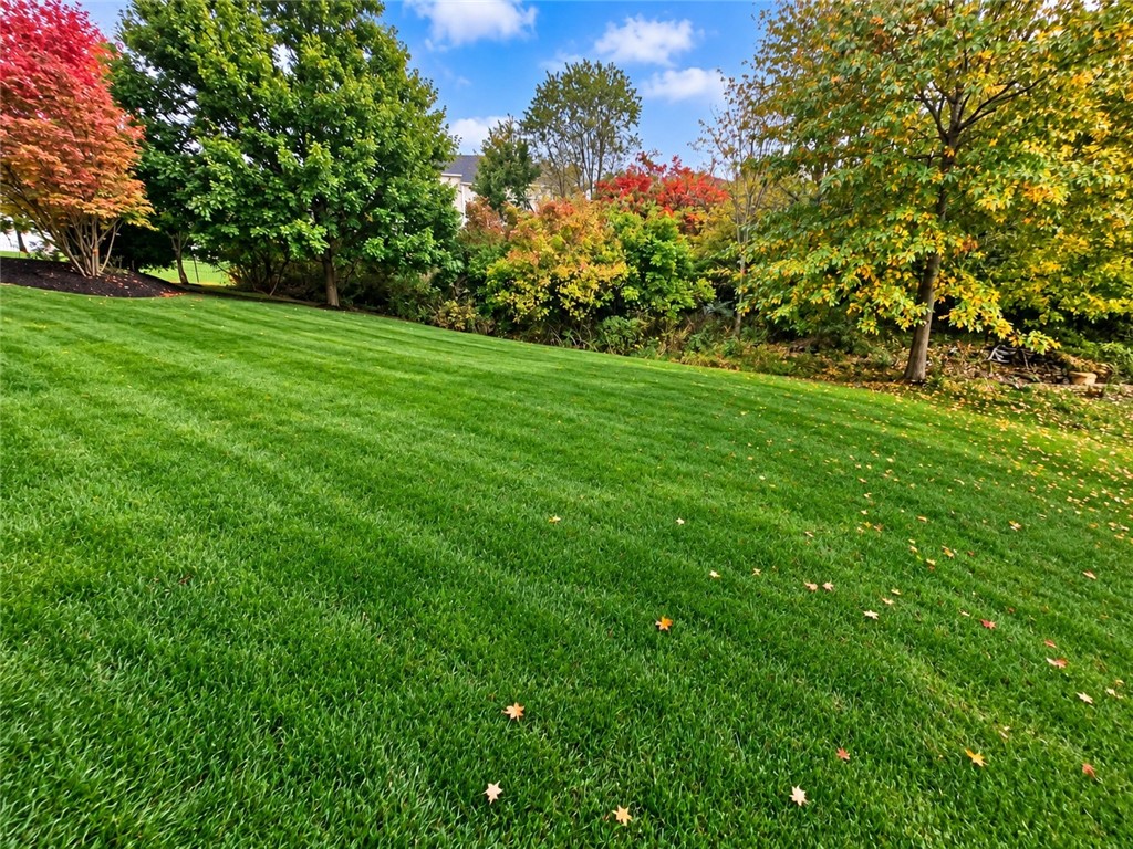 244 Estates Dr