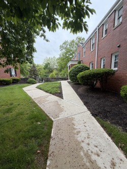 840 Thorn St 43