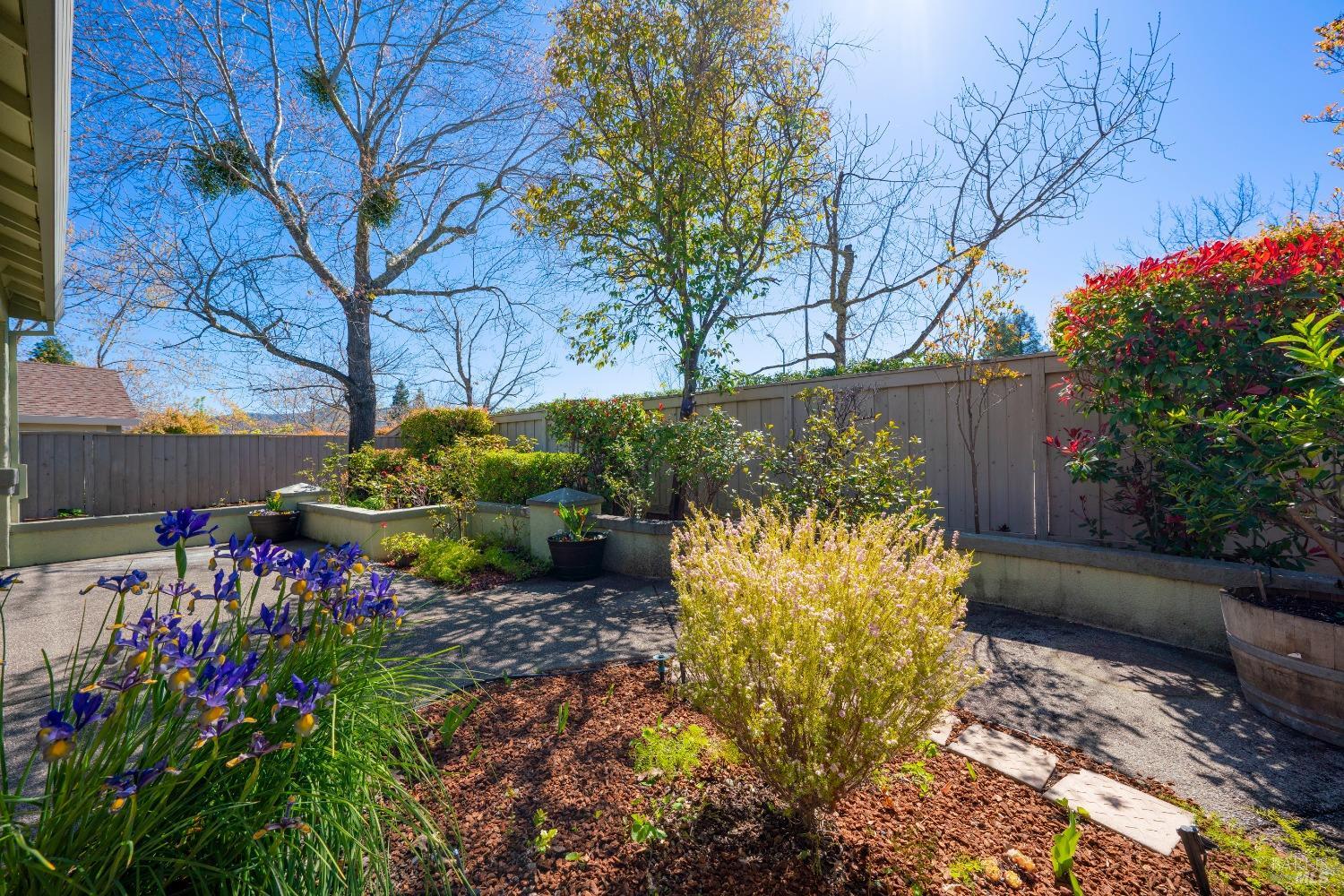 215 Red Mountain Dr