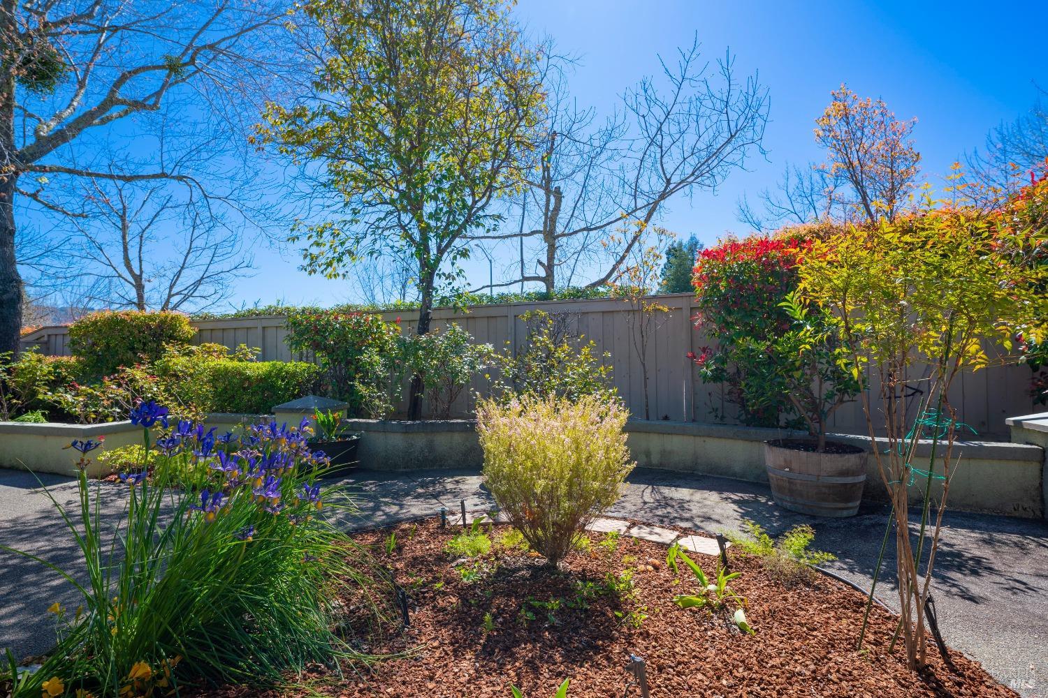 215 Red Mountain Dr