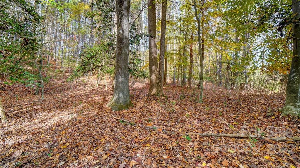 3012 Ashwood Park Drive