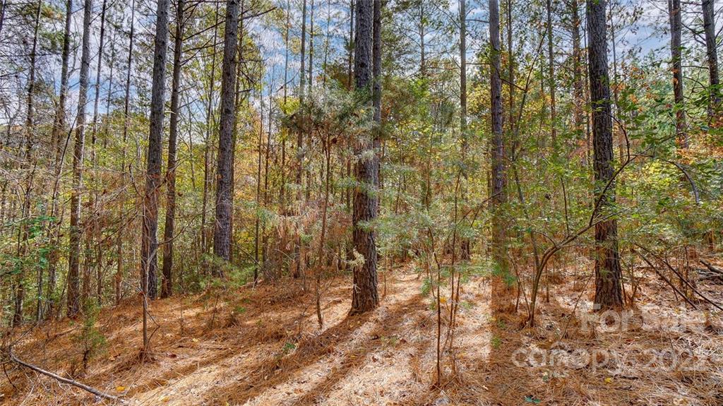 3012 Ashwood Park Drive