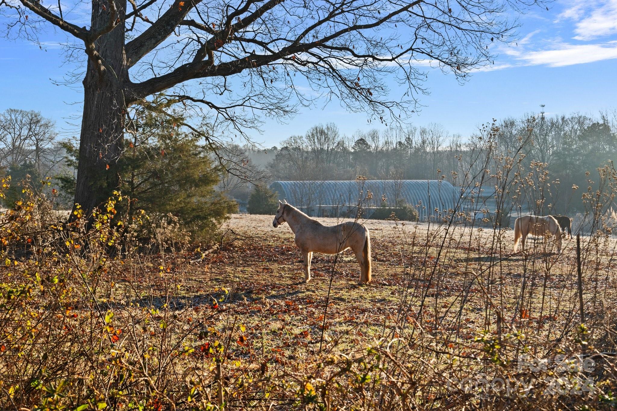 170 Stallings Mill Drive