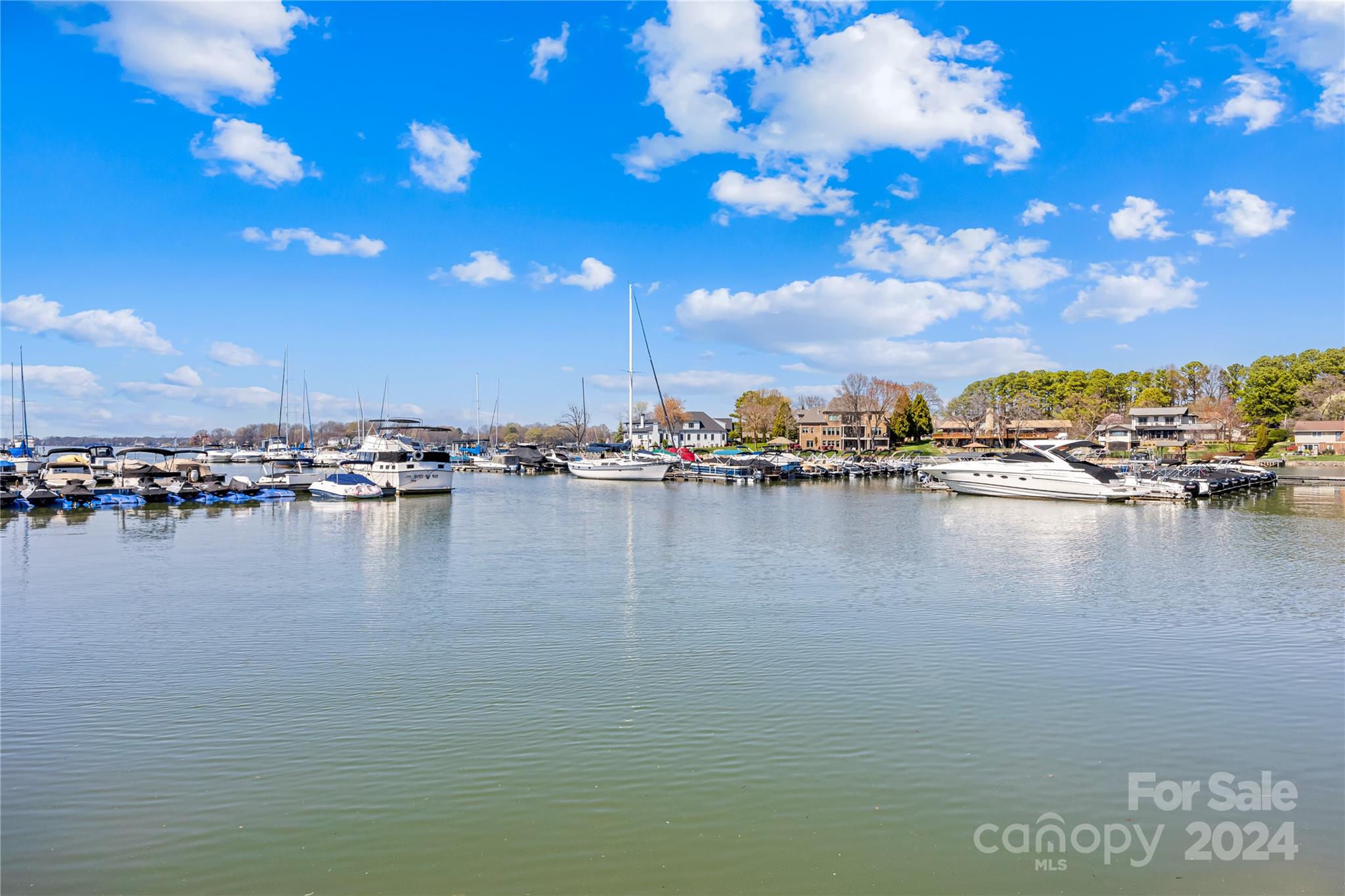 18807 Vineyard Point Lane