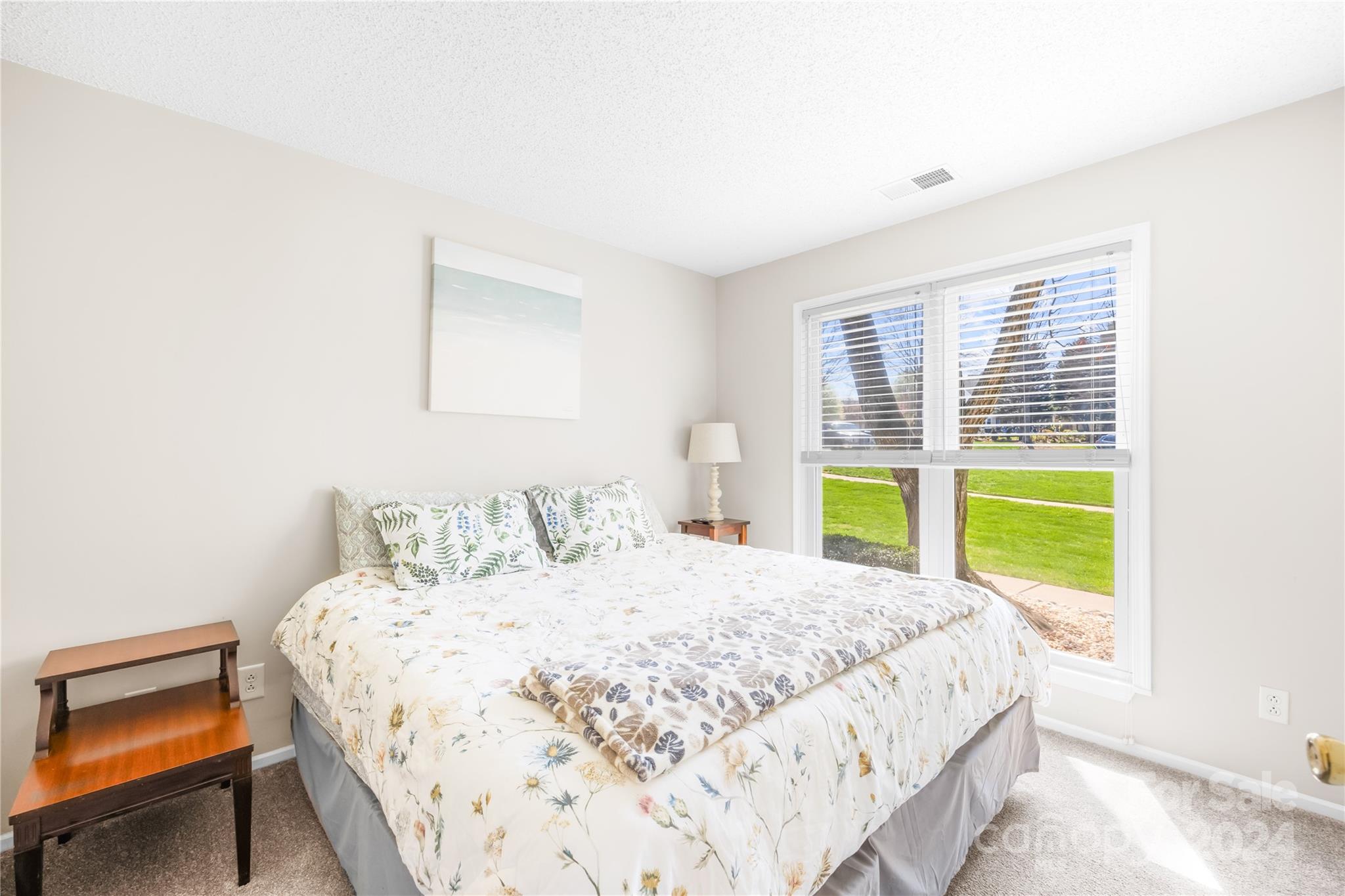 18807 Vineyard Point Lane