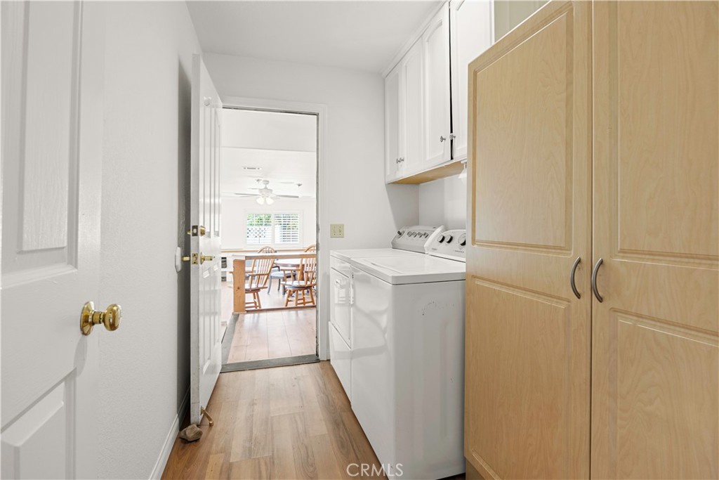 24173 Adams