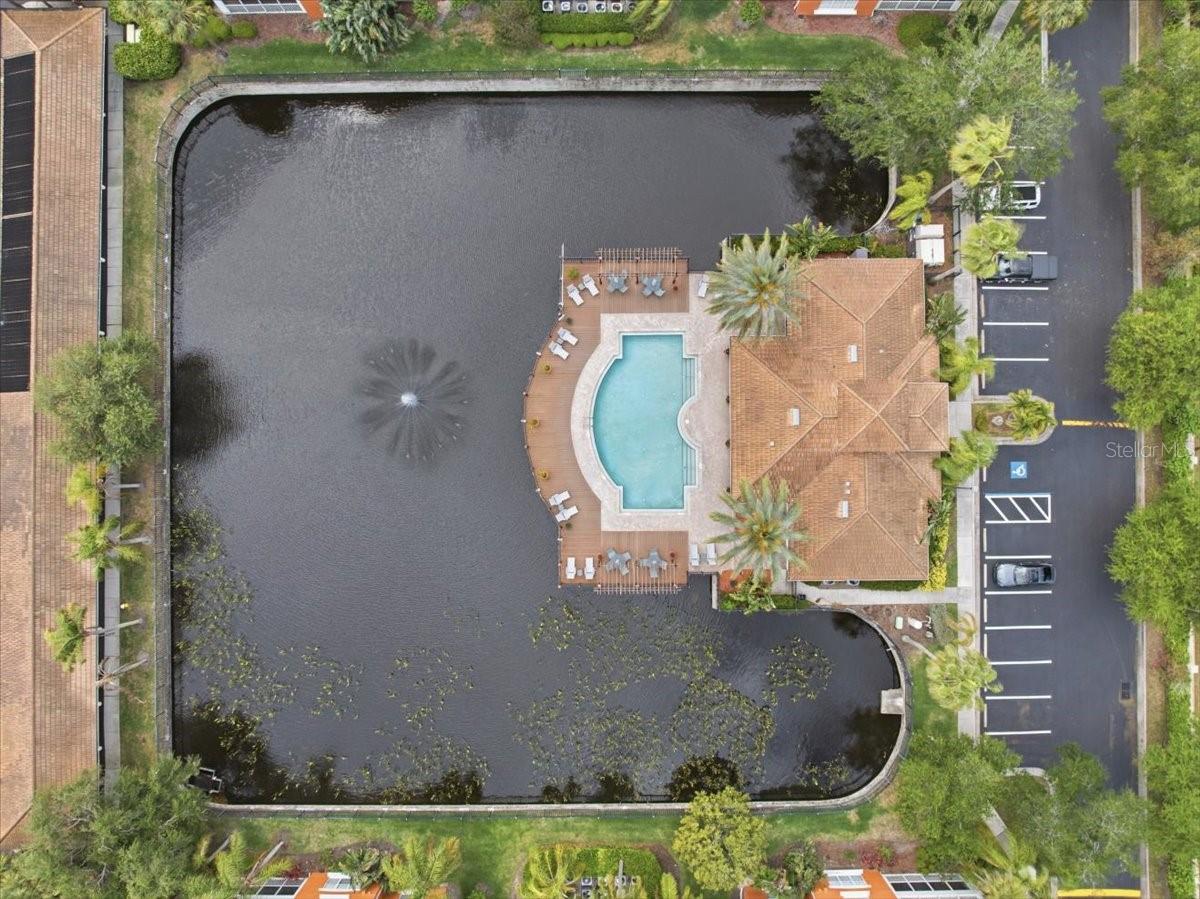 7903 SEMINOLE BLVD #2305