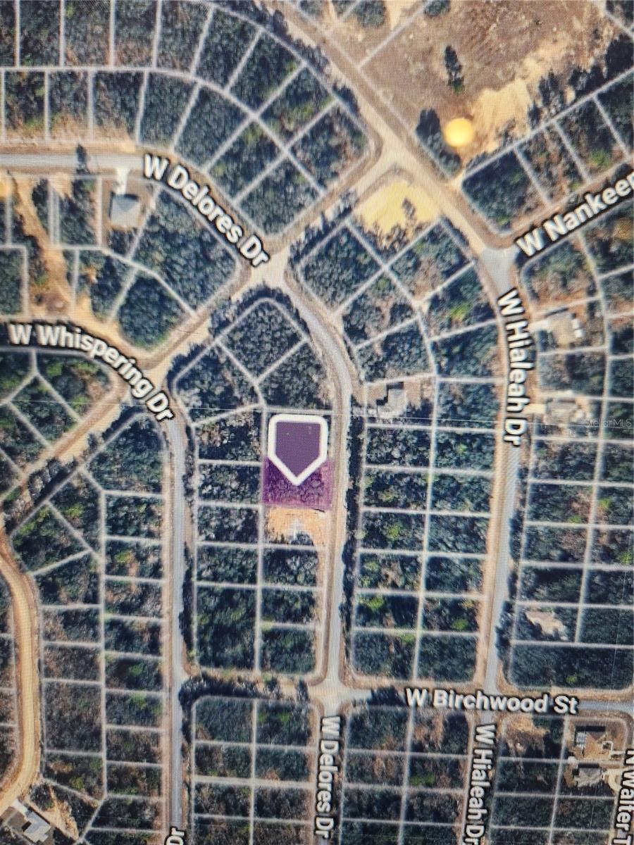 1360 W DOLORES DR