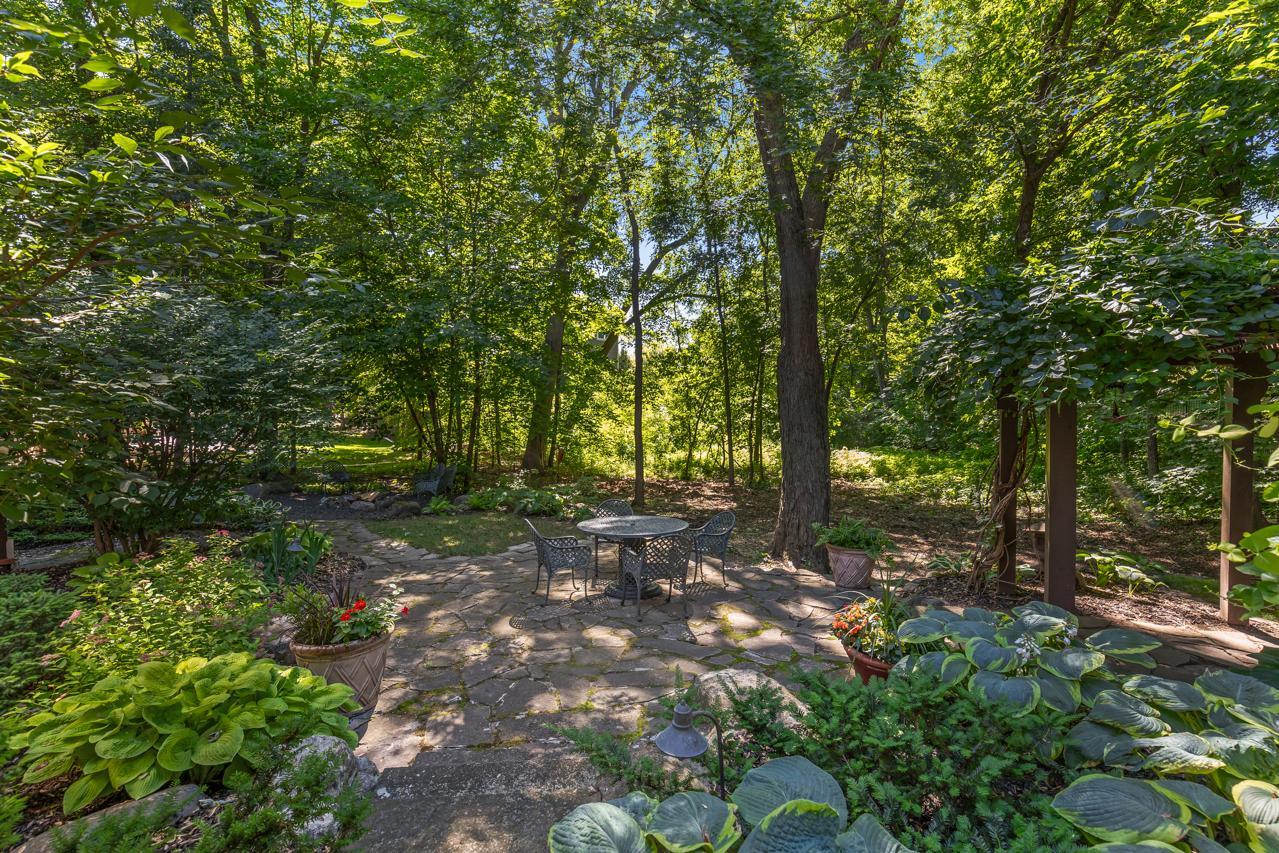 5955 Maple Forest