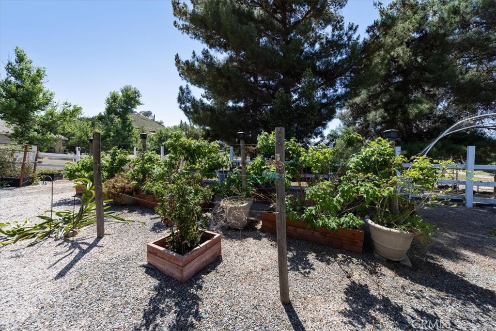 37626 Avenida La Cresta