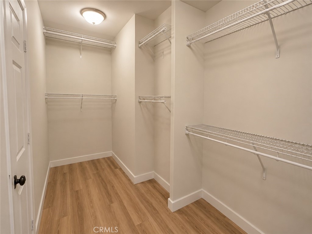 26252 Sage Grass Court