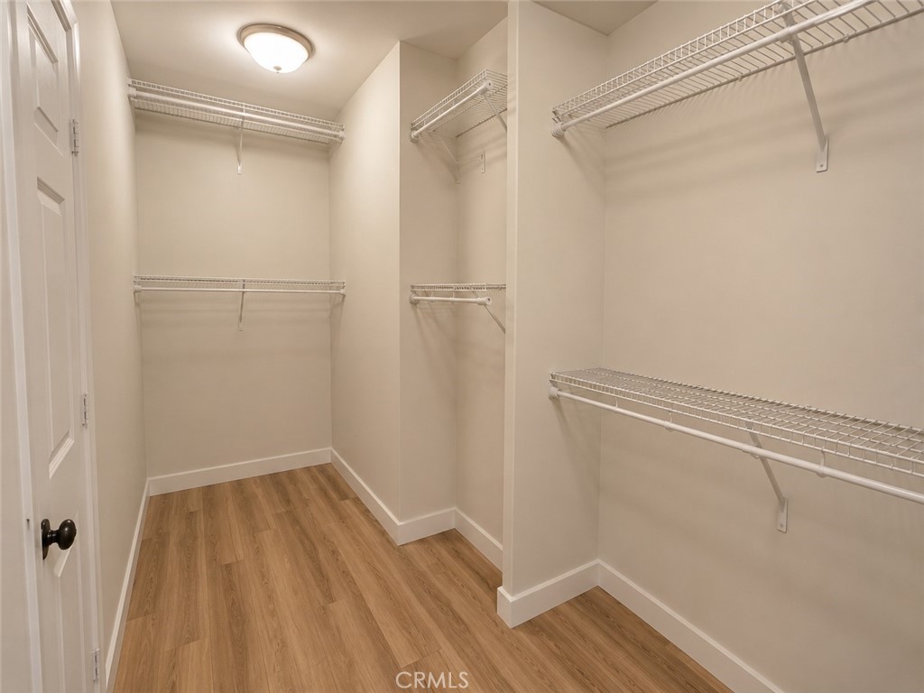 26252 Sage Grass Court