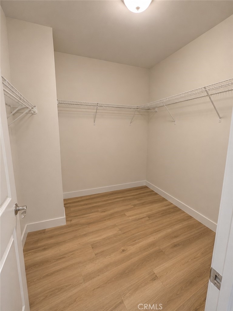 26252 Sage Grass Court